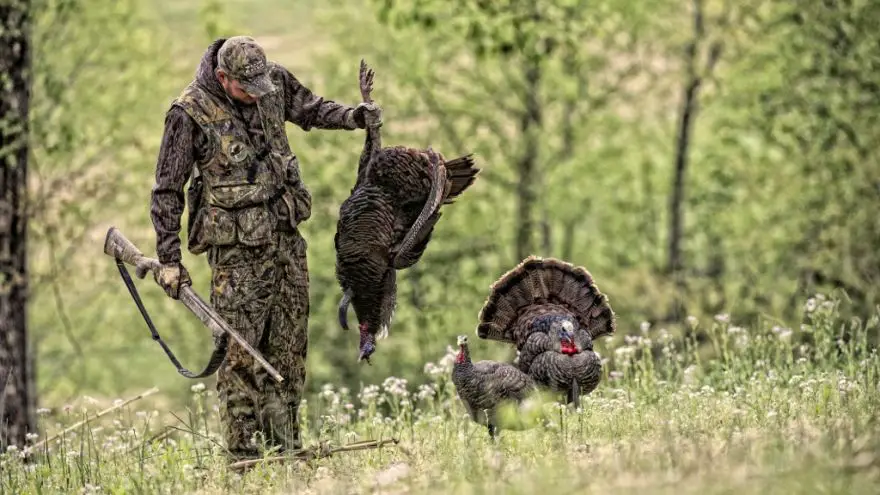 An in-depth review of turkey hunting weapons.