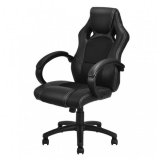 Giantex Racing Style