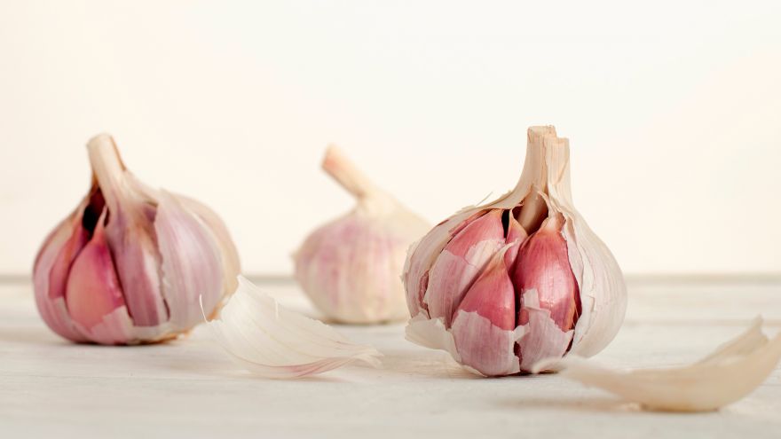 An in-depth review of the health benefits of garlic.