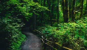 An in-depth review of Portland hikes.