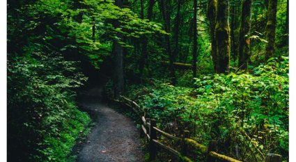 An in-depth review of Portland hikes.