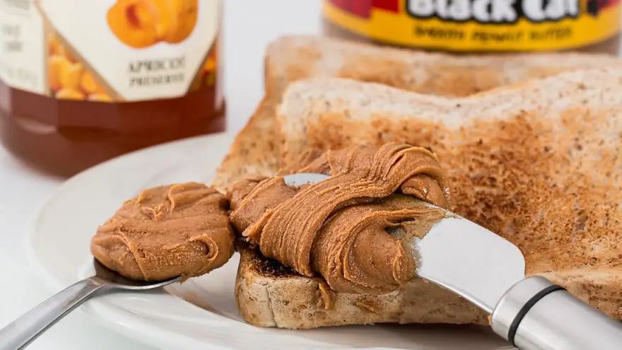 An in-depth guide on the safety of peanut butter and dogs.