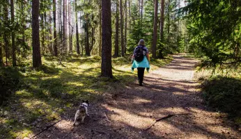 An in-depth guide full of the best tips for hiking with dogs.