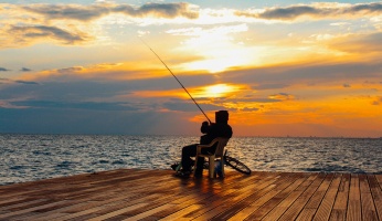 An in-depth guide on the best fishing apps for the modern fisherman to use.