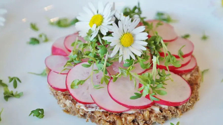 An in-depth guide on the best edible flowers you can cook with today.