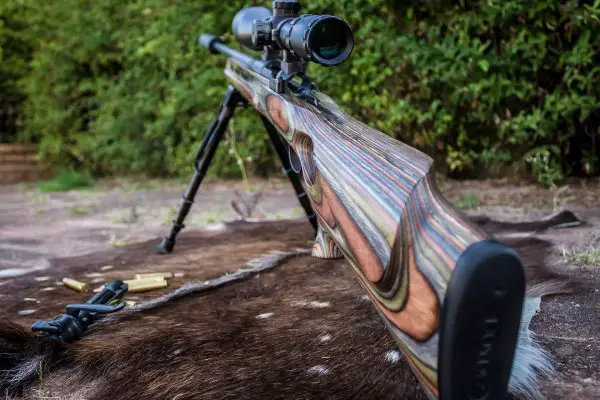 Best .22 Rifles Reviewed & Rated for Quality