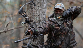 Bow Hunting Deer Series