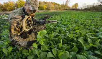 huntong over a food plot