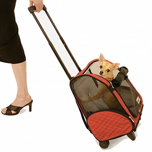 Snoozer Wheel-Around 4-in-1 Dog Carrier